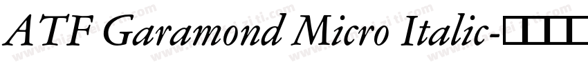 ATF Garamond Micro Italic字体转换
